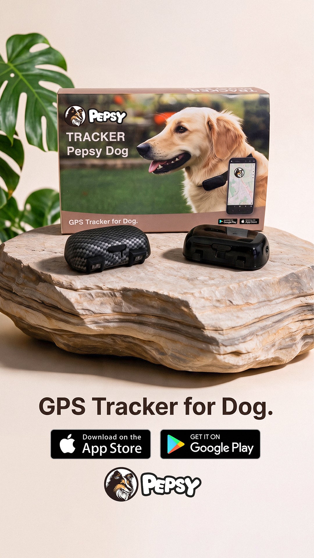 Pack Tracker GPS Chien Pepsy DOG + 1 an d'abonnement INCLUS